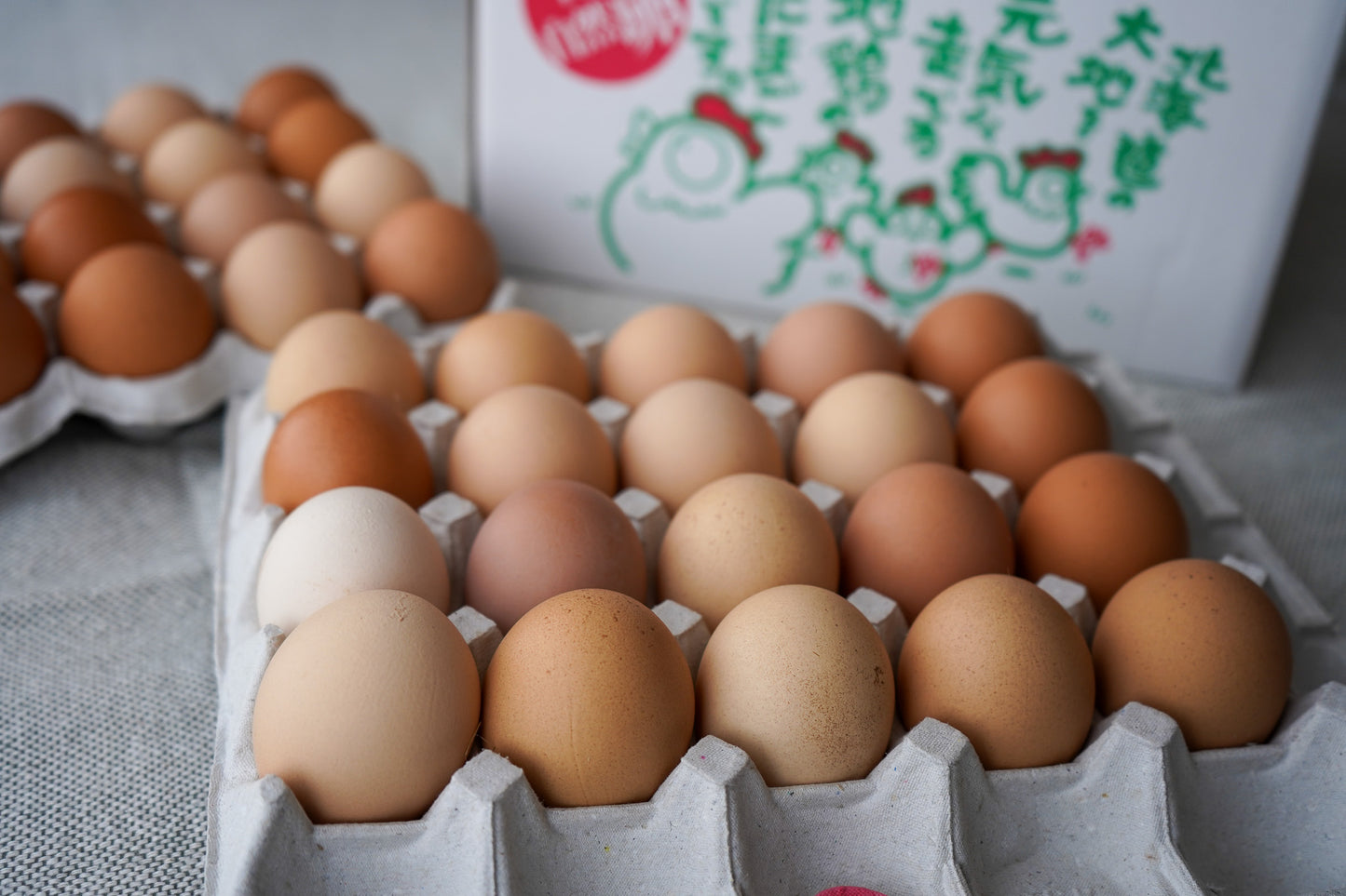 北海道の平飼い自然卵【定期便・送料無料】