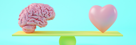 「世の中で言われていることを何となく聞いて何となく判断して、不安に飲み込まれることが常でした」菜食育アドバイザー養成講座　受講生の卒業課題⑧